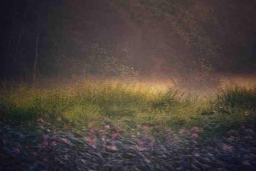 a painting of a field of grass and flowers at U House Exclusive Retreat in Alor Gajah in Kampong Alor Gajah
