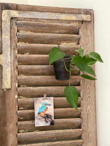 a picture of a bird on a wooden wall with a plant at La Maison de l'Andelot in Monteignet-sur-lʼAndelot