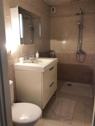 une salle de bain avec un lavabo, des toilettes et une douche dans l'établissement Grande maison dans les Pyrénées, à Surba