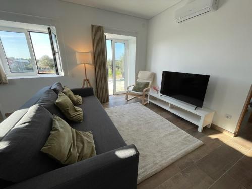 a living room with a couch and a flat screen tv at Quinta da Mouracha in Águas