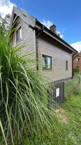 a house with tall grass in front of it at Leśny Azyl Marózek in Maróz