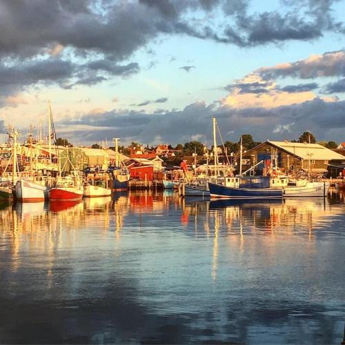 a group of boats are docked in a harbor at Rågeleje's Oasis - Coastal Home with Wood Burning Sauna in Græsted