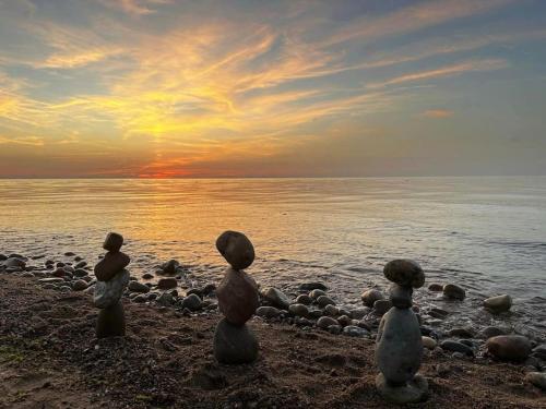 a group of statues sitting on a beach near the water at Rågeleje's Oasis - Coastal Home with Wood Burning Sauna in Græsted