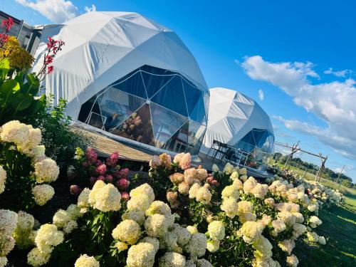 two domed buildings with flowers in front of them at LoveLand Farm Kupolai in Dyburiai
