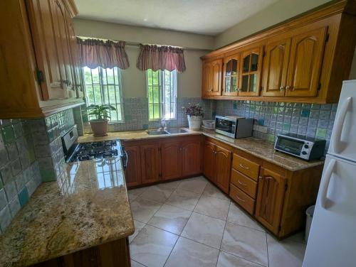 a kitchen with wooden cabinets and a counter top at Sleek 1-Bedroom Apt #1 - 5 Mins to SGU in True Blue