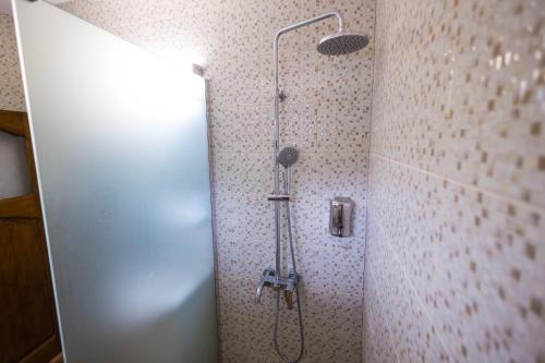 a shower in a bathroom with a shower head at Cuibul Zăganului - Relax, Sauna & SPA in Cheia