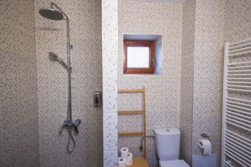 a bathroom with a shower and a toilet at Cuibul Zăganului - Relax, Sauna & SPA in Cheia