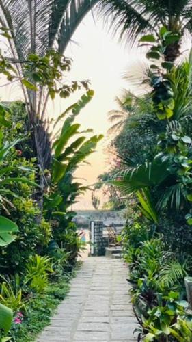 a walkway in a garden with palm trees and plants at GUEST HOUSE Floresta Mar in Angra dos Reis