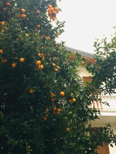 Charmante maison de ville dans quartier historique