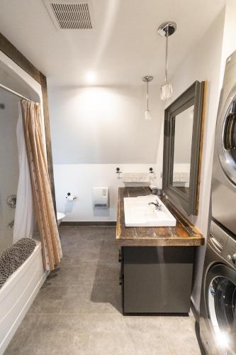 a bathroom with a sink and a washing machine at La Ruelle Hébergement in Saint-Siméon