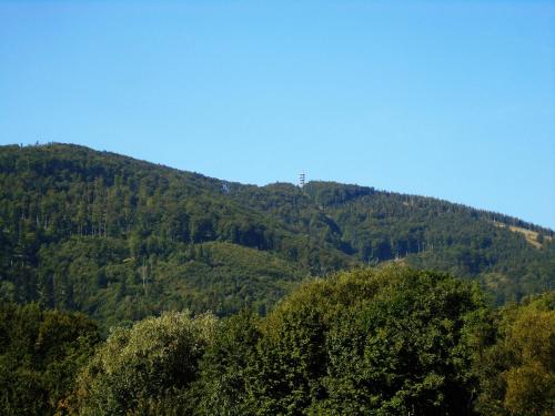 a mountain with trees in front of it at Toris Inn in Třinec