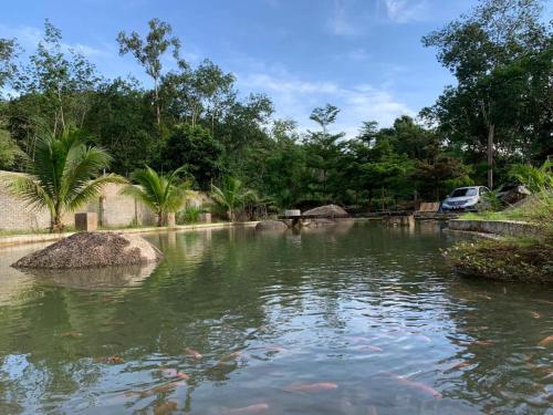 a pond of water with a car parked in it at Rock Forest Chalet in Bentong