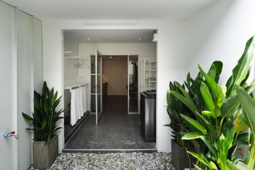 a hallway with green plants in a house at Flat and Fur 2BR Mid-Century 3mins to Nimman Airport in Chiang Mai