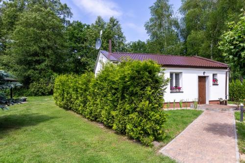 a white house with a hedge in front of it at Agroturystyka Kaczy Brzeg Apartament in Rożnowo