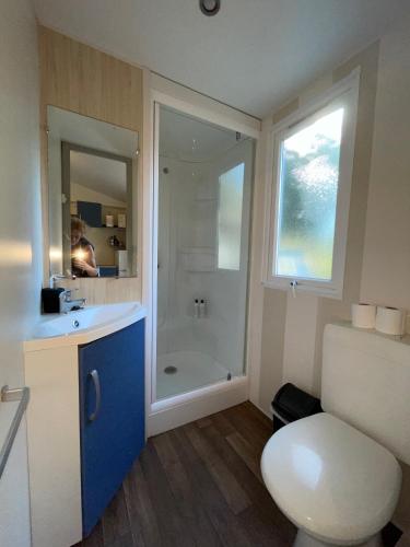 une salle de bain avec toilettes, lavabo et douche dans l'établissement C16 - Le Domino du Ried, à Boofzheim