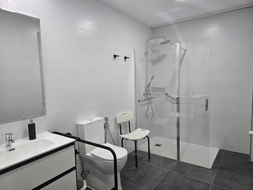 a bathroom with a shower and a toilet and a sink at Lugo Apartamento nuevo en centro de la ciudad in Lugo