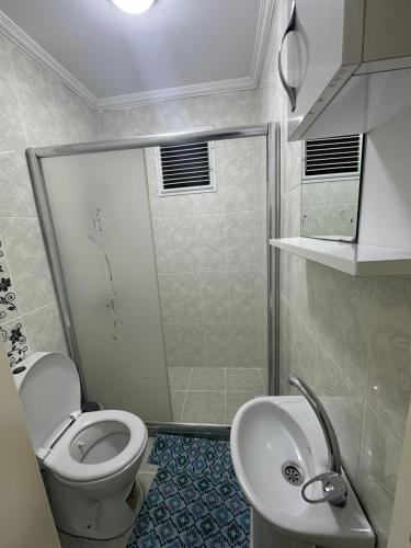 a bathroom with a shower and a toilet and a sink at lord ımmortelle apartment in Istanbul