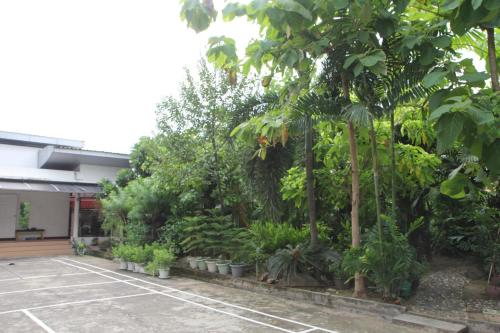 a garden with trees and plants in a parking lot at Homeku Guesthouse Room 1 near airport at Latkrabang in Lat Krabang