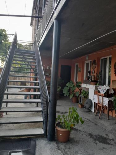 a set of stairs leading to a house with plants at Akhaltsikhe hotel “Sunny House” in Akhaltsikhe