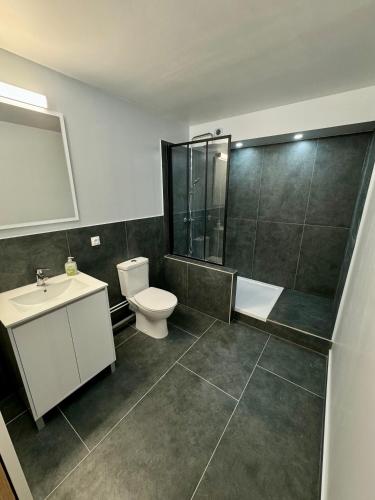 une salle de bain avec toilettes, douche et lavabo dans l'établissement Appartement privé 90m2, 1 chambre, proche centre Aix en Provence, à Aix-en-Provence
