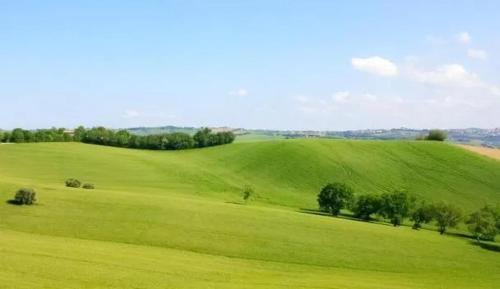 a green field with trees in the middle of it at Relais Verde Casa in Trecastelli