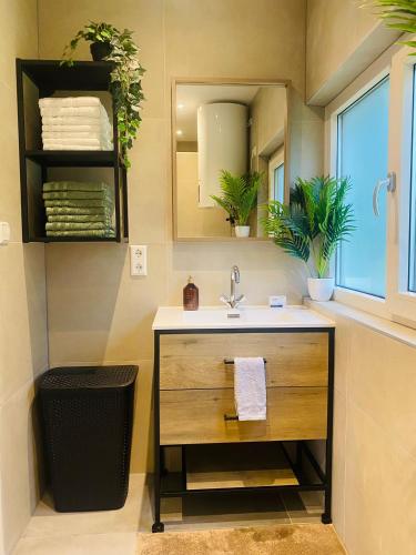 a bathroom with a sink and a mirror at Morning Glory, huisje Forest in Beekbergen