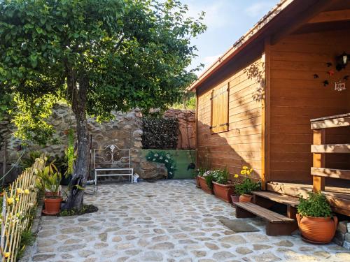 a patio with a bench and a tree at Casa DiMaria in Trancoso
