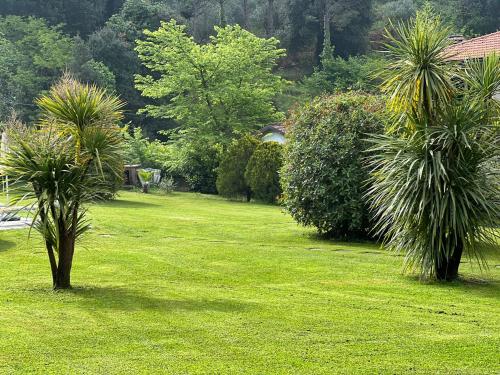 a green yard with two palm trees and bushes at Hotel Monti in Lamporecchio