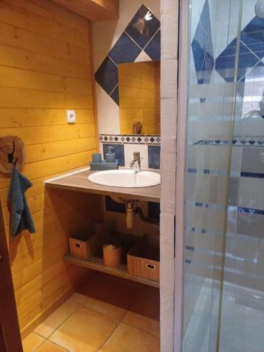 une salle de bain avec un lavabo et une douche dans l'établissement maison de village, à Montferrat