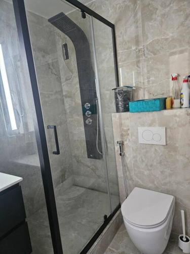une salle de bain avec douche et toilettes dans l'établissement Appartement refait à neuf I chambre #2 sur 4, à Dunkerque