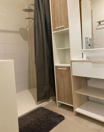 une salle de bain avec douche et lavabo dans l'établissement Idéal pour un court séjour, à Caveirac