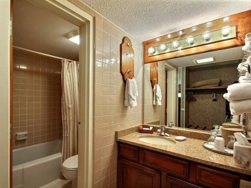 a bathroom with a sink and a toilet and a mirror at The Dillard House in Dillard