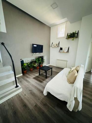 Amplio y cómodo apartamento en Ciudad Lineal