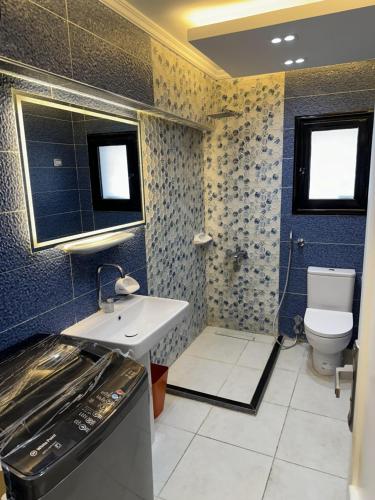 a bathroom with a white sink and a toilet at شقة فندقية على النيل in Mansoura