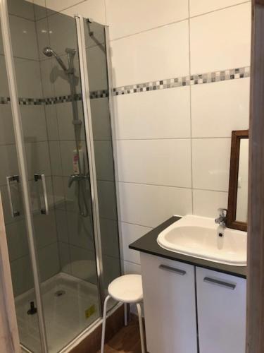 une salle de bain avec douche et lavabo dans l'établissement La ferme de Sidoine, à Beaumerie-Saint-Martin