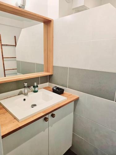 une salle de bain avec un lavabo et un miroir dans l'établissement Joli F2 Gare Orléans avec parking privé et balcon Classe 3 étoiles, à Orléans