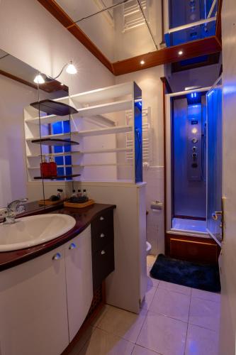 une salle de bain avec un lavabo et une douche dans l'établissement Cocon atypique en rive droite, à Brest