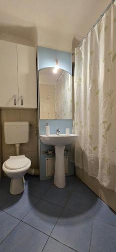 a bathroom with a toilet and a sink and a shower curtain at Republicii Residence 2 in Ploieşti