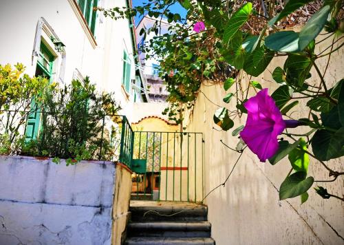 a building with a gate with a purple flower at Casa Studio em Santa Teresa in Rio de Janeiro