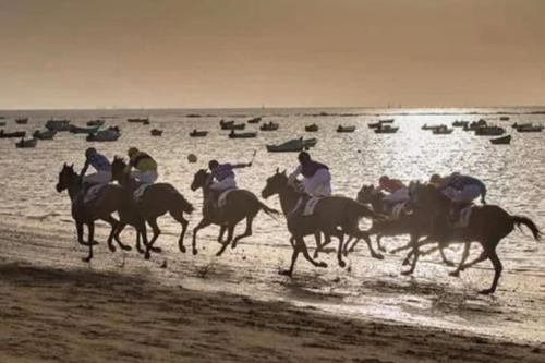 Άλλα ζώα σε αυτό το διαμέρισμα ή στη γύρω περιοχή