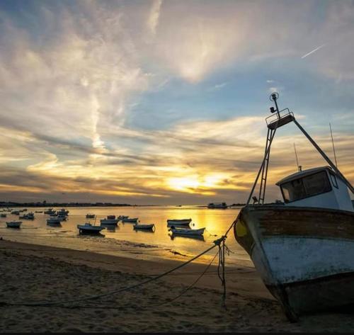 Φυσικό τοπίο κοντά σε αυτό το διαμέρισμα