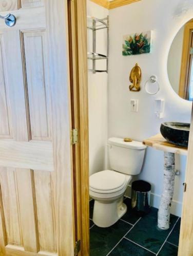 Un baño de Catskill Cabin Bird of Paradise 7