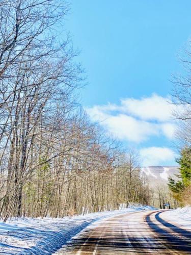 a snow covered road with trees on either side at Catskill Cabin Zen Mantra Apt in Shandaken