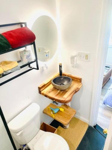 ShandakenにあるCatskill Cabin Little Owl Apt 1の部屋に洗面台とトイレが付いたバスルーム