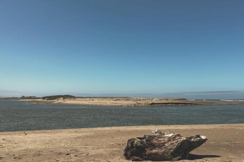 a log on the beach next to a body of water at Bay View Loft in Lincoln City