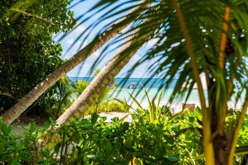 Fotografie z fotogalerie ubytování Village du Pecheur v destinaci Baie Sainte Anne