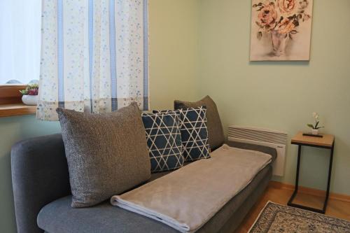 a couch in a living room with a window at Landhaus-Appartements Warraich in Schladming