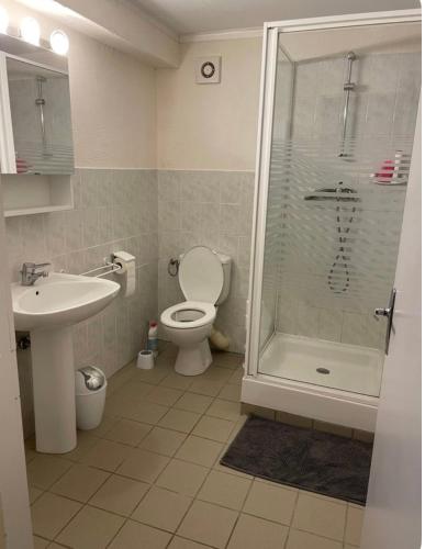 une salle de bain avec une douche, des toilettes et un lavabo dans l'établissement Carine et Alex, à Saint-Brès