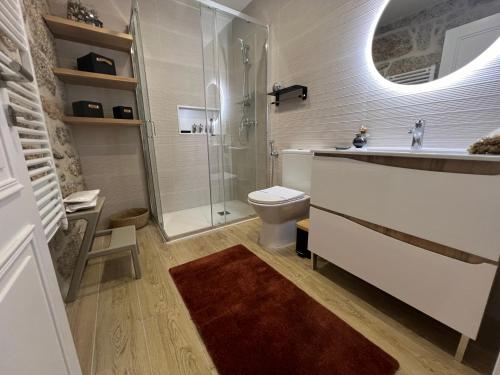 a bathroom with a shower and a toilet and a sink at Eido de Bairros - Casa Cantinho da Touça in Soajo