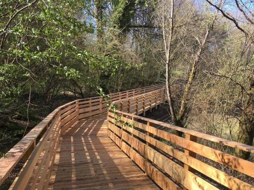un pont en bois au milieu des bois dans l'établissement Studio au bord du lac, à Saint-Gérons